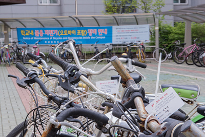 지난달 29일, 미르ㆍ나래관 앞 방치된 자전거가 정비 기간이 지나 불용 처리되었다.