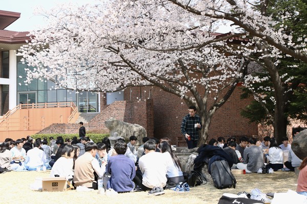 따스한 햇볕과 벚꽃 나무 아래 사람들은 돌아온 봄과 딸기를 맞이하여 피크닉을 즐기고 있다.                       ©김민주 기자